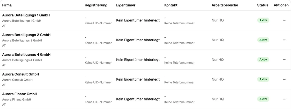 Liste der Gesellschaften einer Firmengruppe mit Status und Arbeitsbereichen
